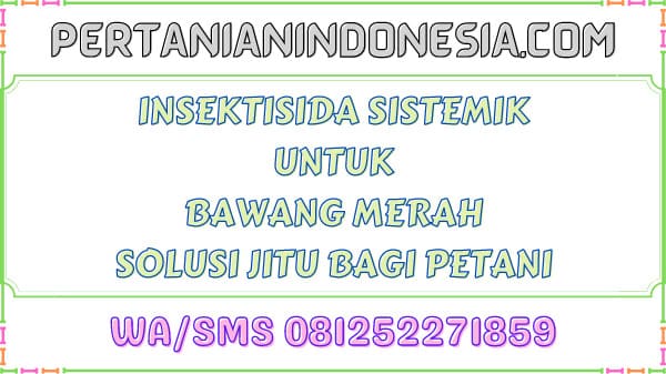 Insektisida Sistemik Untuk Ulat Bawang Merah Solusi Jitu Bagi Petani
